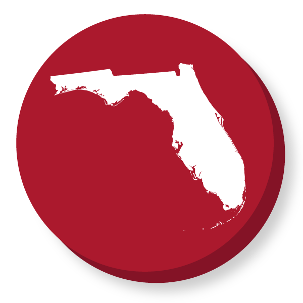 Drawing of Floriday state in button